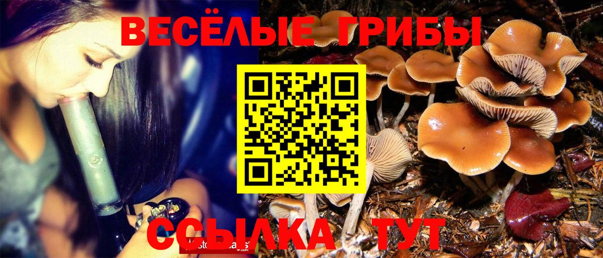 Якутск  Псилоцибиновые грибы Psilocybine cubensis  Вход с VPN 